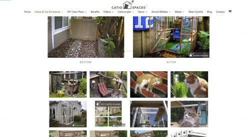 シアトルのキャティオ・デザイナーのサイトから。引用:https://catiospaces.com/