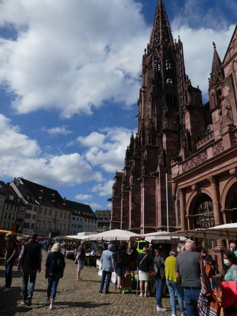 フライブルクのシンボル、フライブルク大聖堂のある広場では、市場が開かれ日々にぎわっています