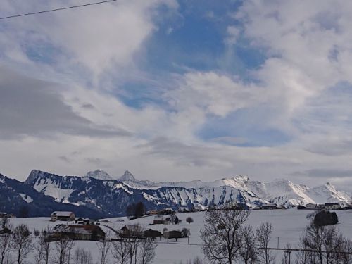 積雪もあり、スキーやスノーシューなどのウィンタースポーツには最適な季節ですが、クラスターの心配も