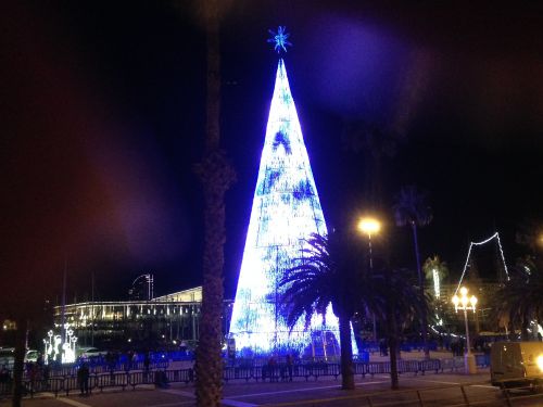 高さ31メートルのカタルーニャ地方最大のクリスマスツリー