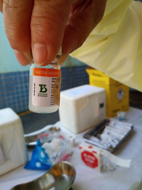 サンパウロのブタンタン毒蛇研究所のラベルが付けられた新型コロナワクチン