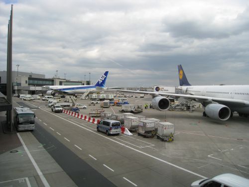全日空機とルフトハンザ機（２０１９年10月、フランクフルト国際空港で）
