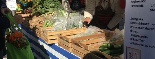 地元の農家の方から直接、有機野菜が購入できます