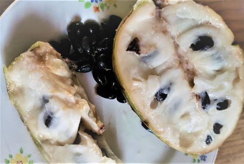 チェリモヤの果肉と黒い艶やかな種