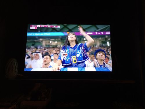 (「TVグロボ」の画面から)