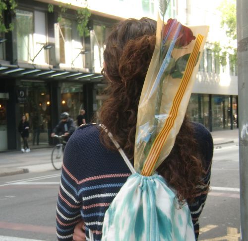 リュックに薔薇をこのように入れてる人多かったです。