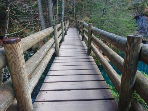 自然いっぱいの中にある、湖周りの遊歩道