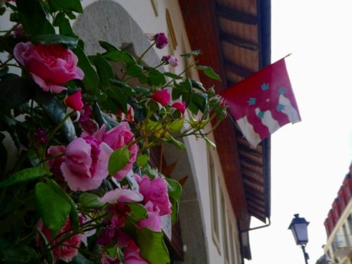 エスタヴァイエ・ル・ラック村の旗には赤いバラが描かれています