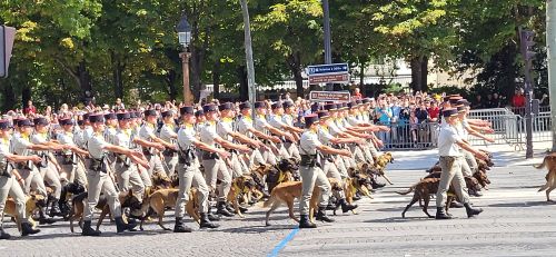 　警察犬を連れた一行も、多くの拍手を受けていました！