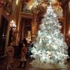 本物と偽物のクリスマスツリー、どちらがエコロジー？