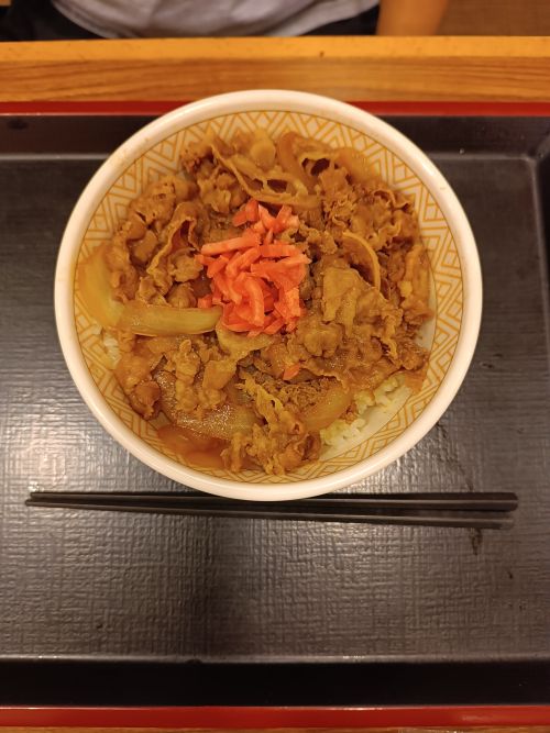 日本のすき家の牛丼(並盛)