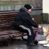ヨーロッパにおける日本犬の立ち位置とは？