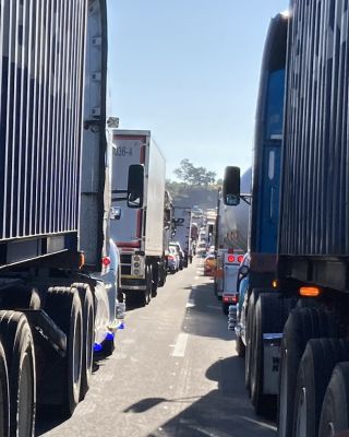 微動だにしません