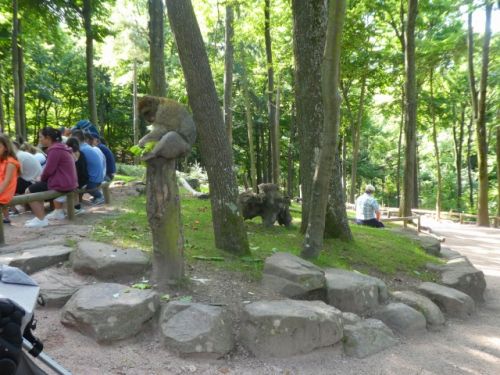 自然と一体化して、こんなところにもおサルさんが