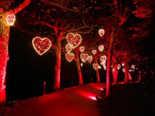 こんなハートがたくさんの可愛いイルミネーションも