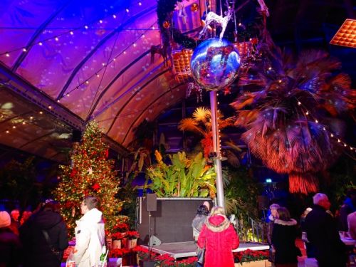温室内はバーになっていました。トロピカルな植物とクリスマスツリーが並ぶ風景が新鮮（笑）