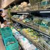 ベジ、ノンベジ〜インドの食文化