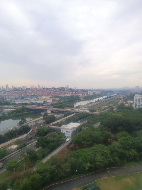 観覧車からのサンパウロの眺め