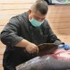 台湾で初めて見たマグロの解体ショー　その１