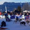 アルプス山脈を駆ける犬ぞりレース！