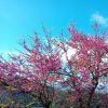 レジャーと自然発見の空間「クルセロラ公園」