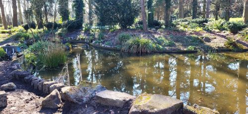 花公園内の沼