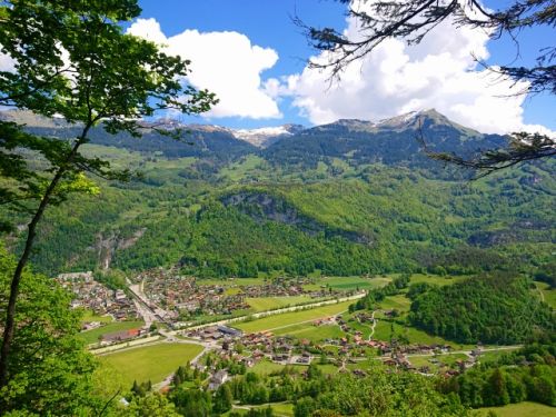 見晴らしの良い絶景は、どれだけ見ても飽きません