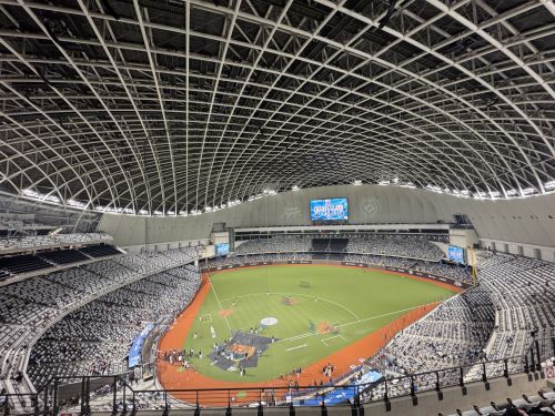 L ４ブロック内野席からの眺め