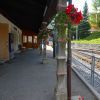 山深い秘境駅からレトロ列車に乗ってみた