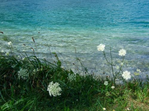 犠牲者の方々に哀悼の意を捧げます