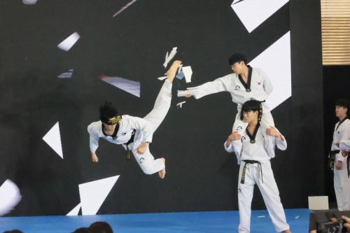 帯で目隠しして、試し割り