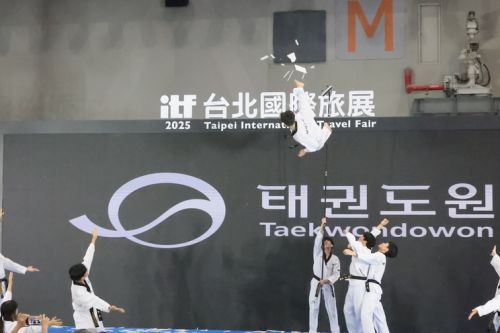 この高さからも……